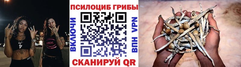 Псилоцибиновые грибы ЛСД  Купить закладки  Алагир 