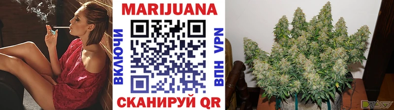 Купить где  Алагир  Конопля конопля 